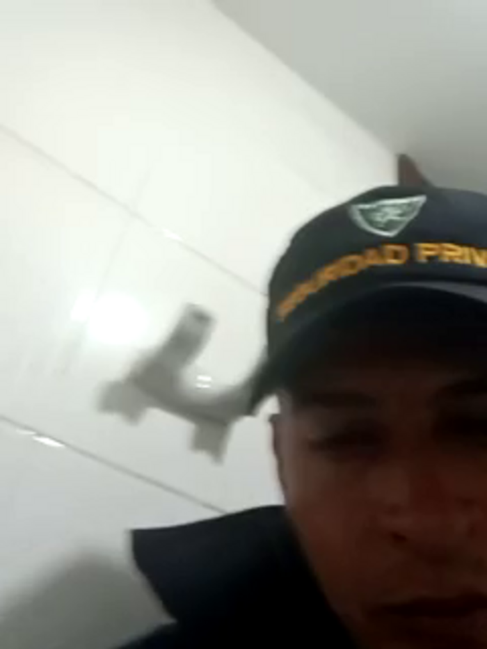 gattosexi