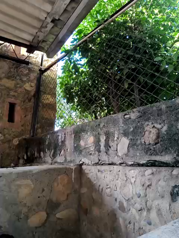 enjoying_my_freedom