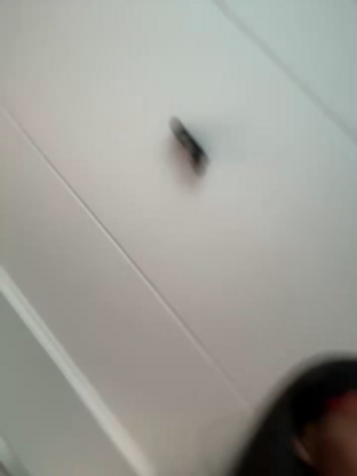 Neelo-Smith