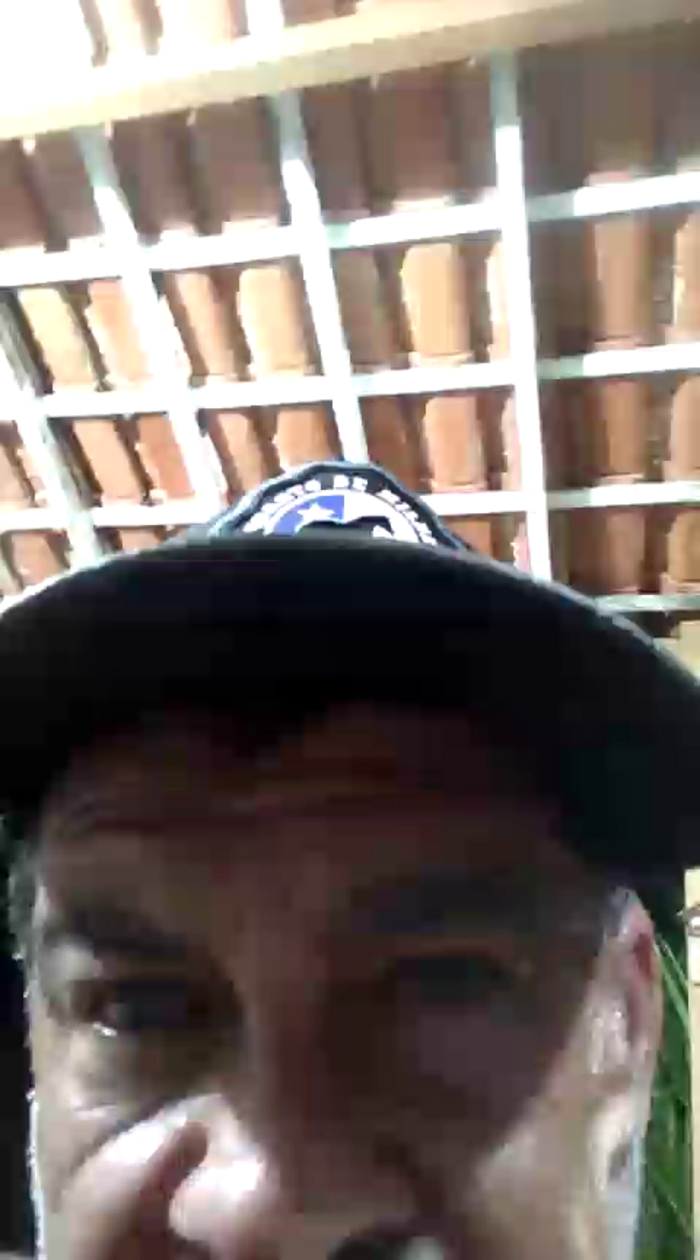Peludo173317