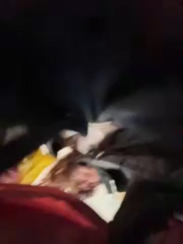 eveangelll