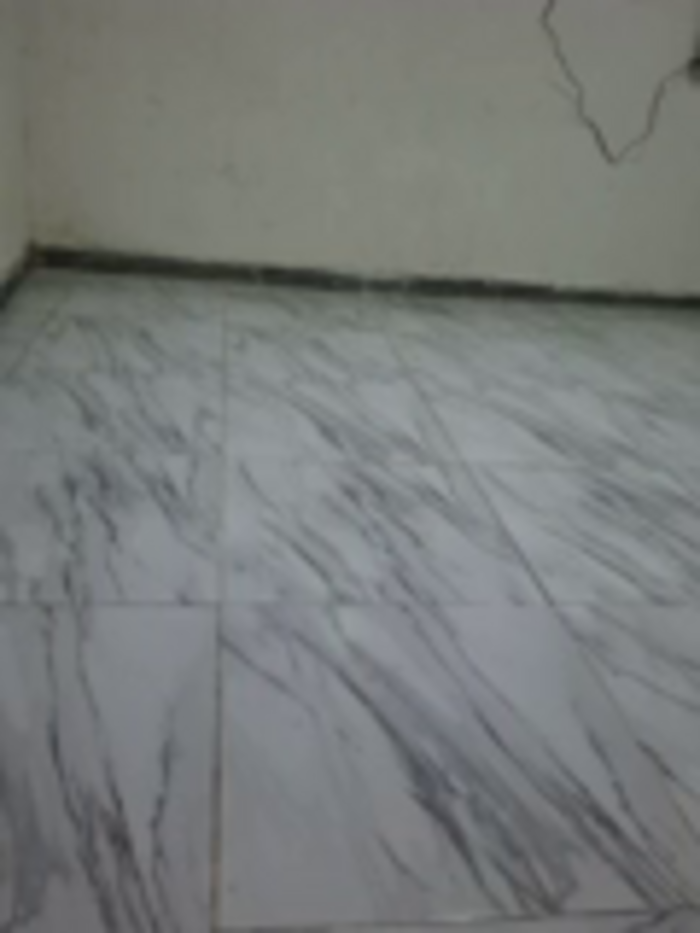 DAELAA