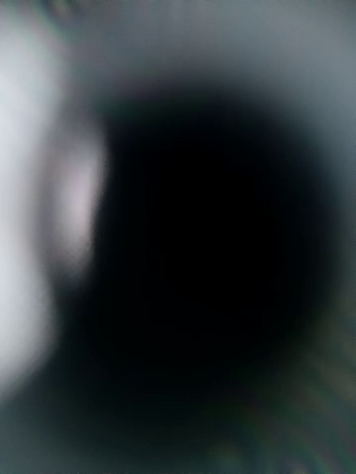 Jay_rodrigues