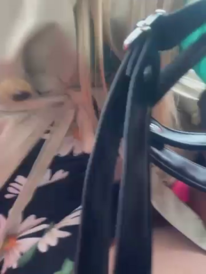alana_69