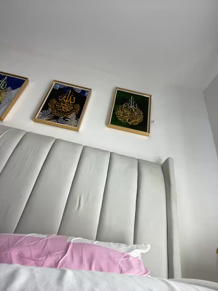 Hyra_Ari