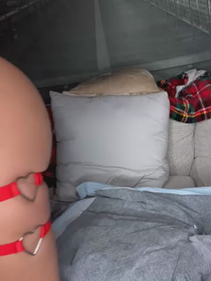 Bigbuttbrooklynn