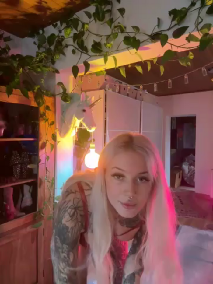 Stella-Kink