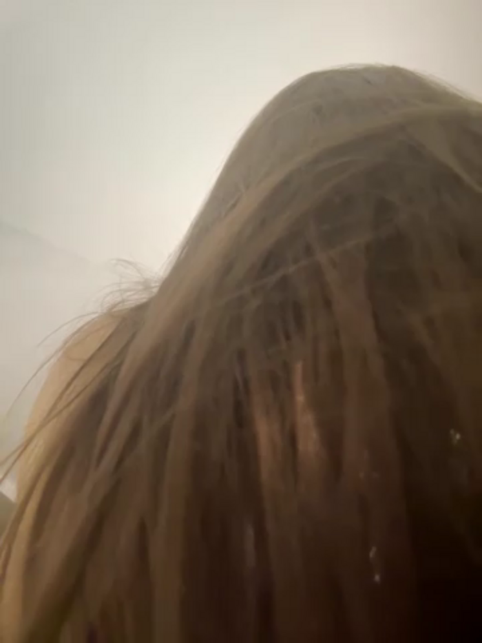 AlisaxFox
