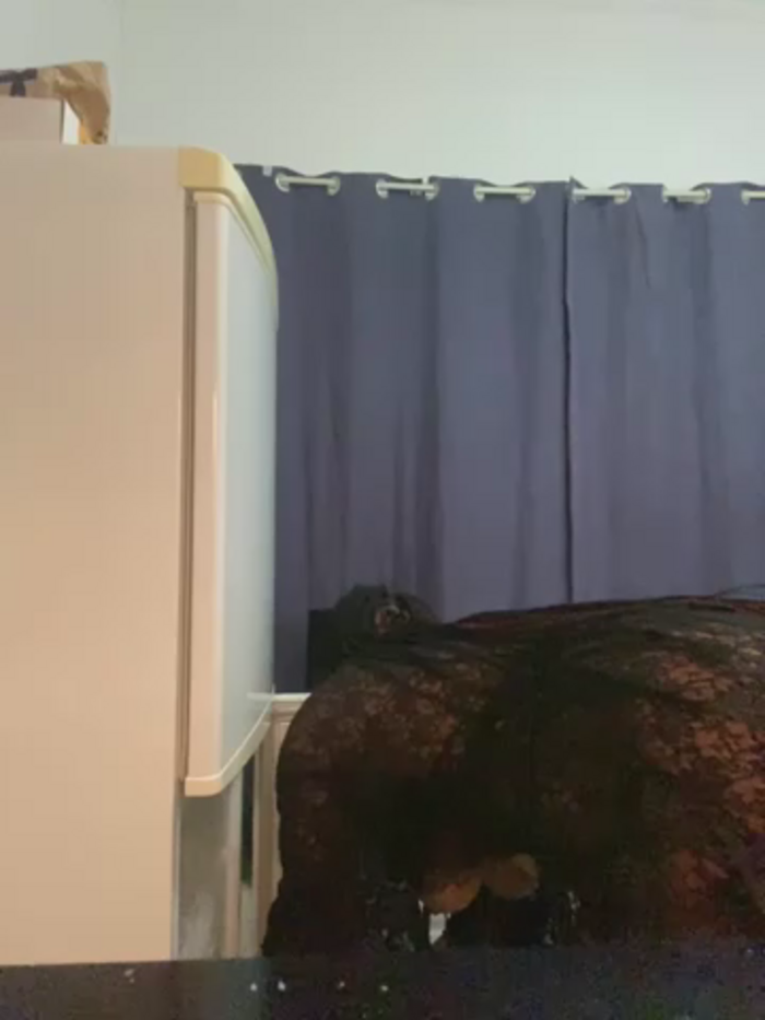 V_Fiona
