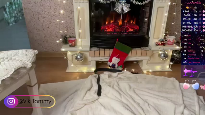 VIKITOMMY