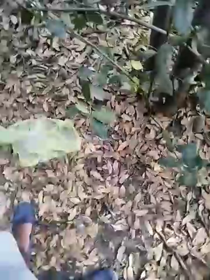 mariamac420