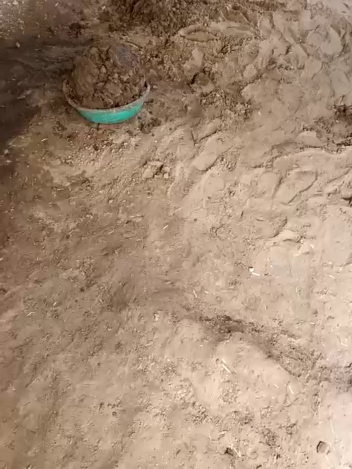 Indiankanak