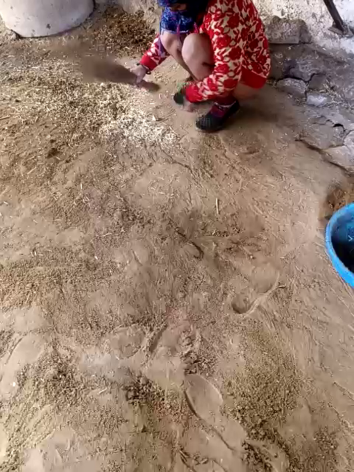 Indiankanak