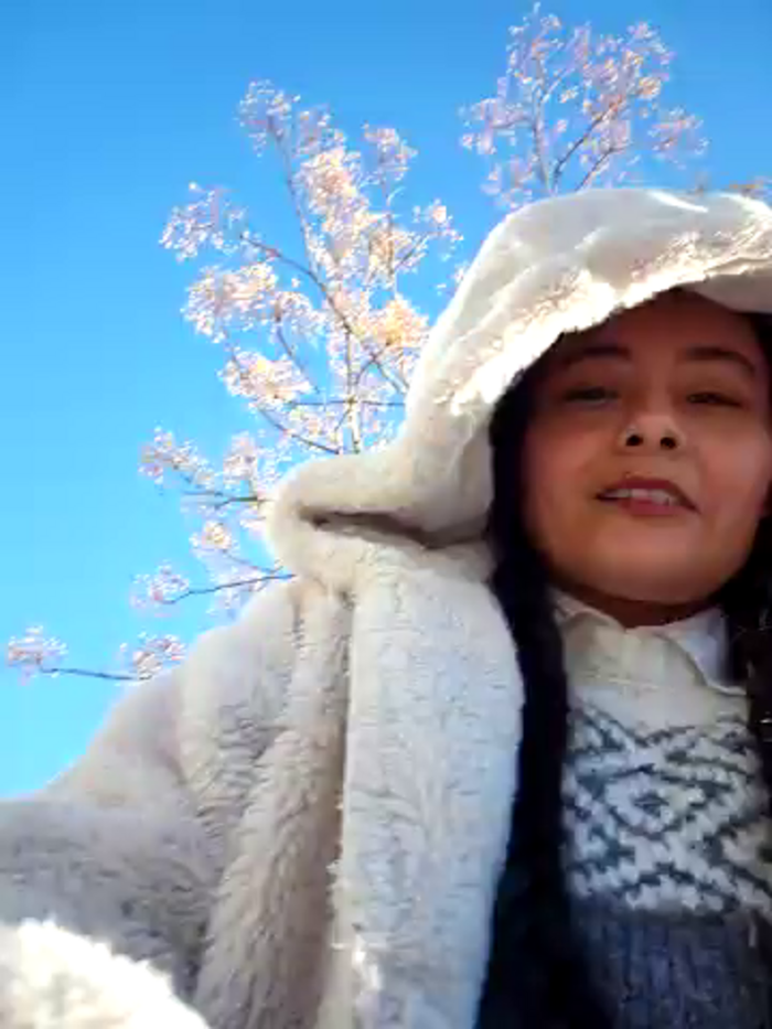bellapaty