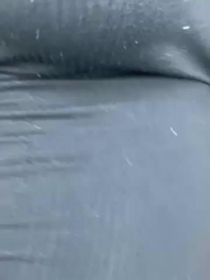 V_Fiona