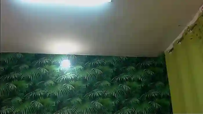 2025/01/01/stripchat-stella_john-07-14-08