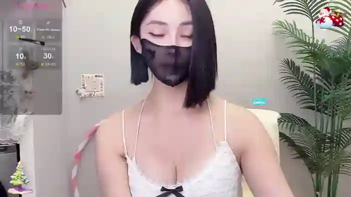 2025/01/01/stripchat-avicc-11-29-59