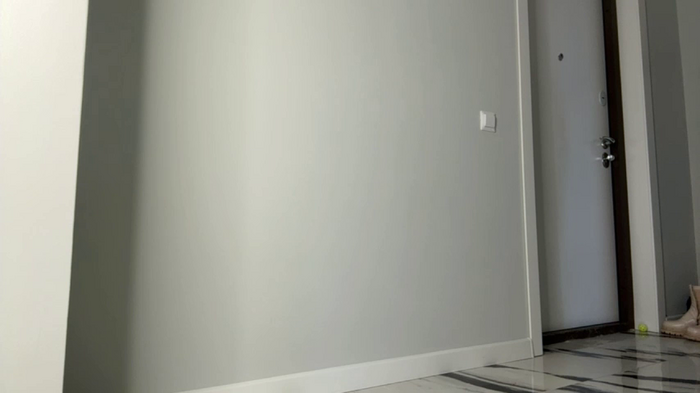 elisa_moon