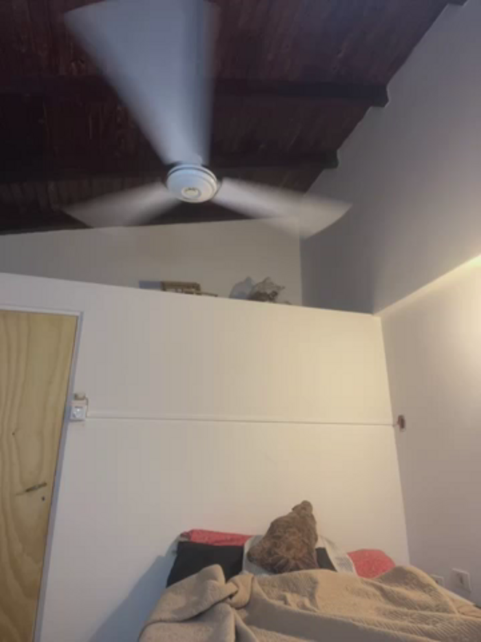 pilimartinez22