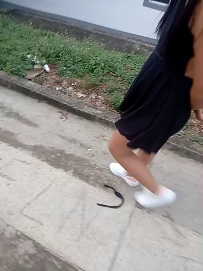 the_queen_of_street