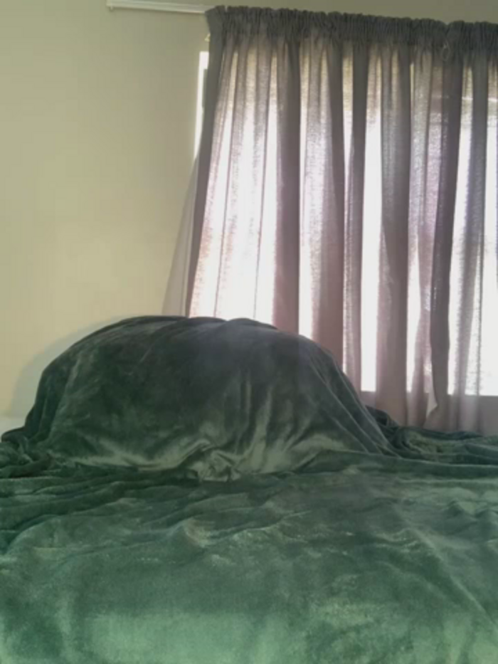 CurvyDesire1