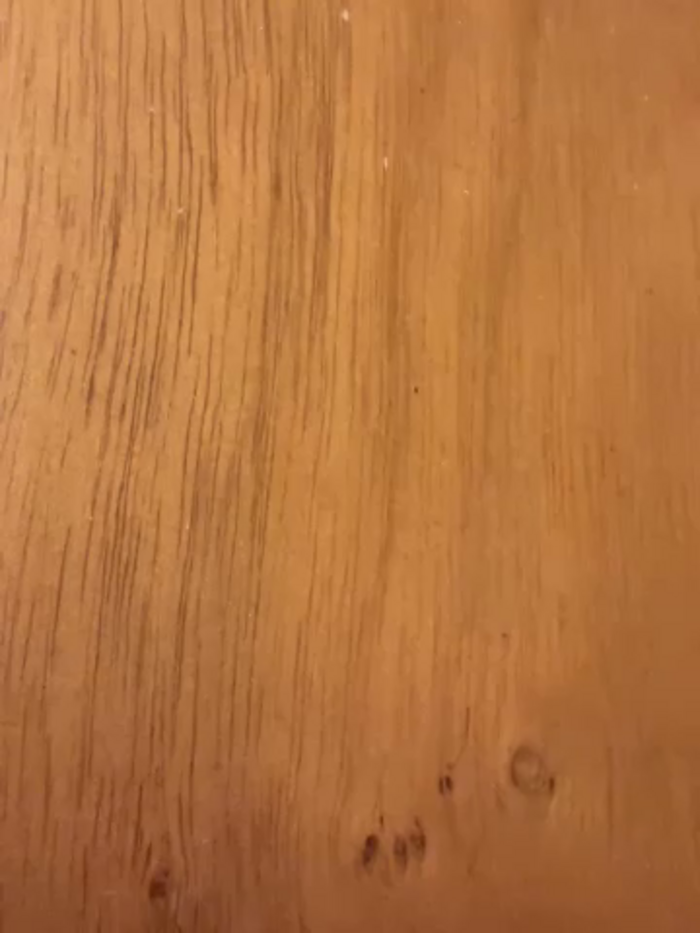 monroe_777
