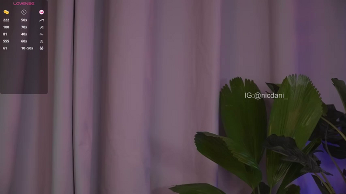 nicdani_1