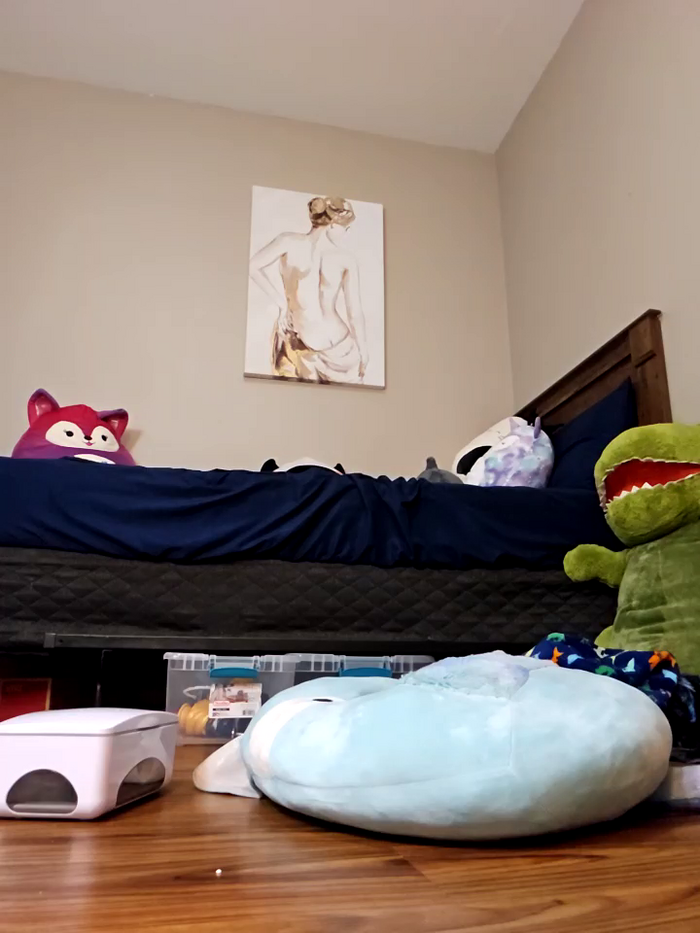AmethystFoxx