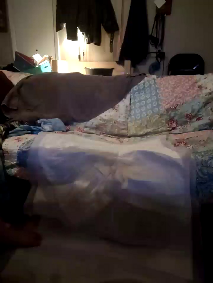 TurtleLady420