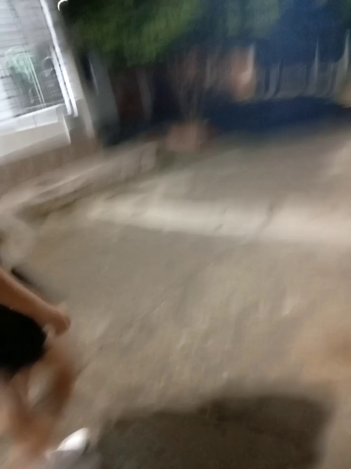 the_queen_of_street