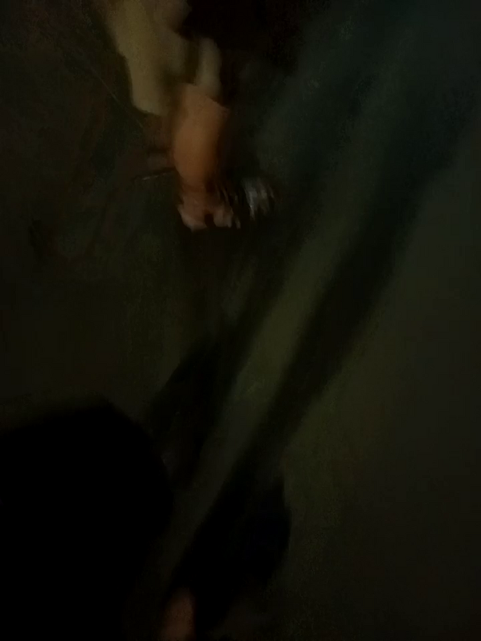 the_queen_of_street