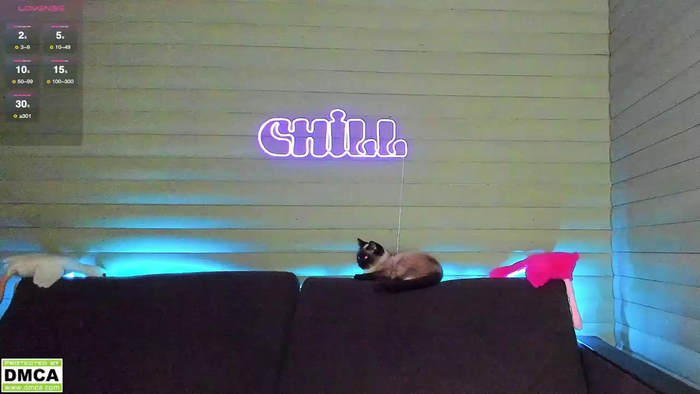 meowluv66