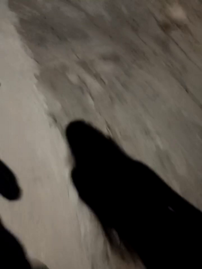 the_queen_of_street
