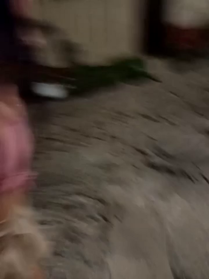 the_queen_of_street