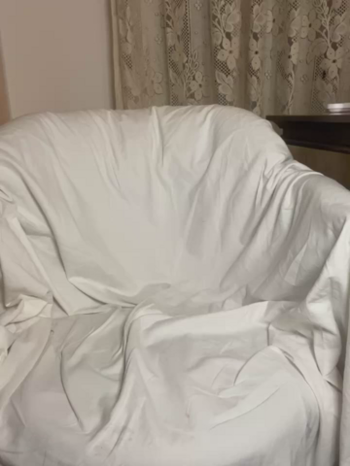 SierraFox_