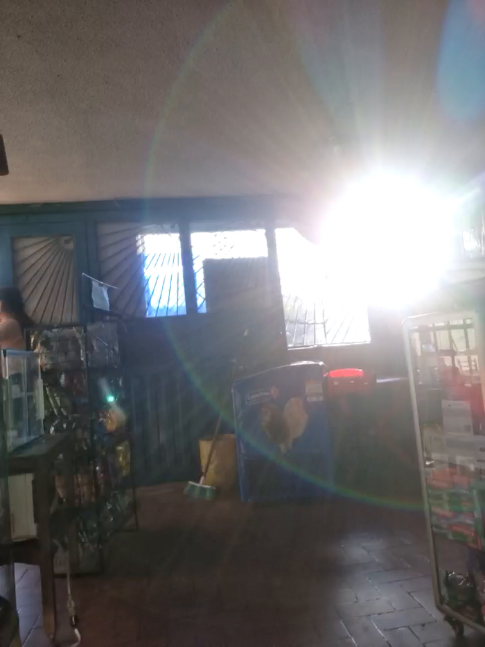 _mia17_