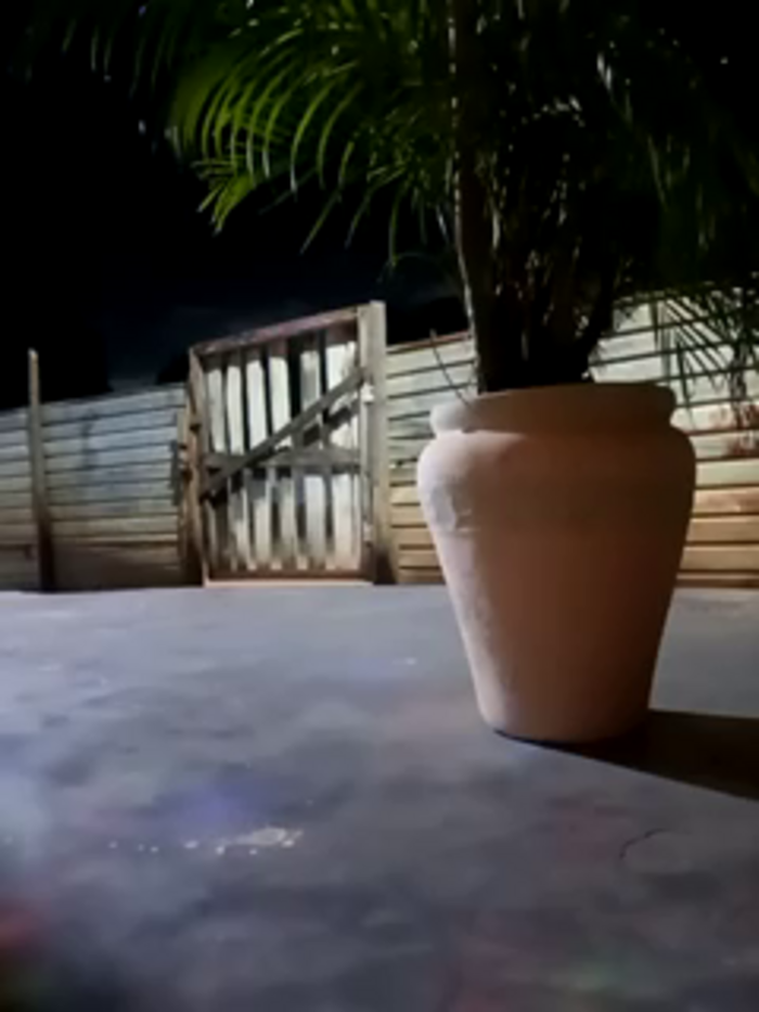 taimara_