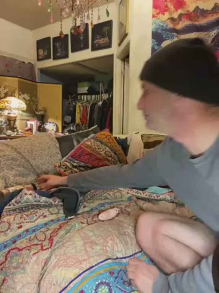 sexyasscougar