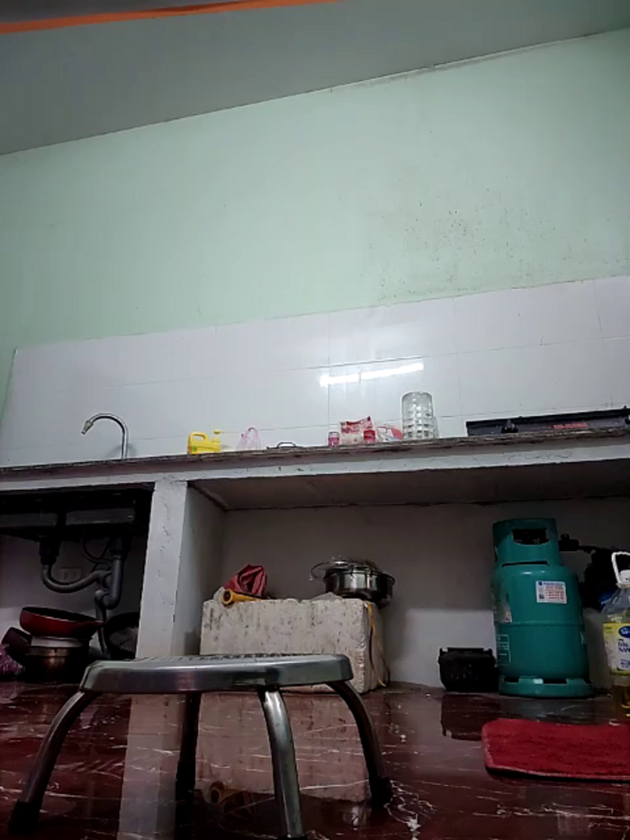 zizi_public