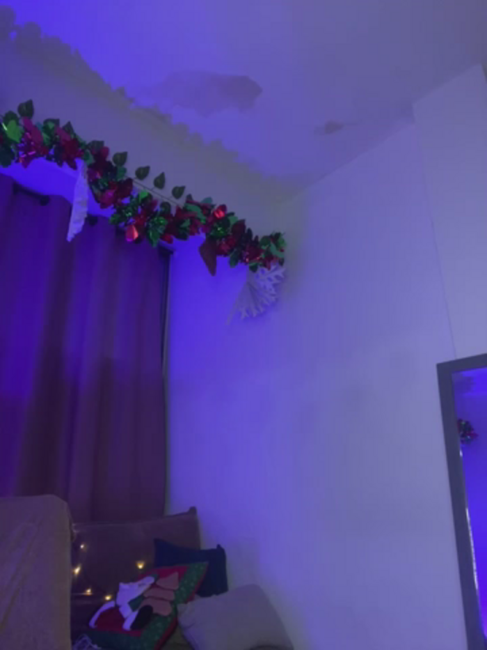 Charlotee_
