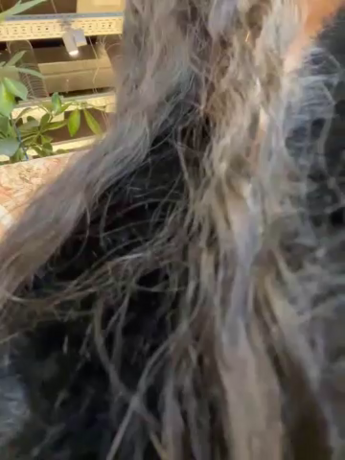 Chloe__Moon