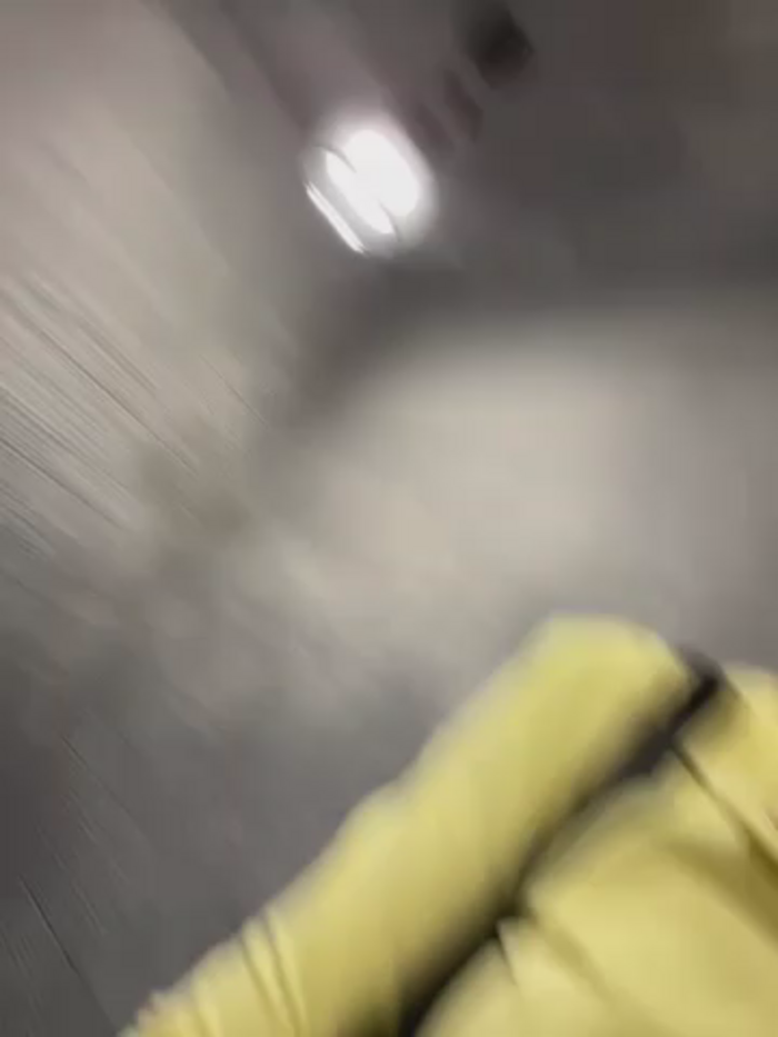 RinaCat