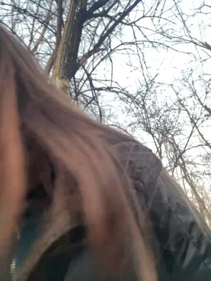 LiliMorganxxx