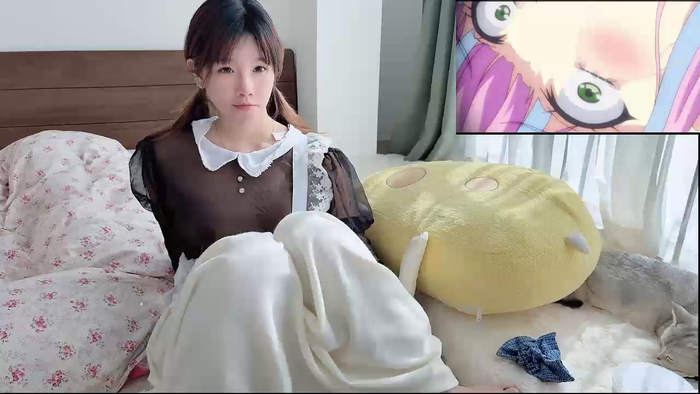linko12334