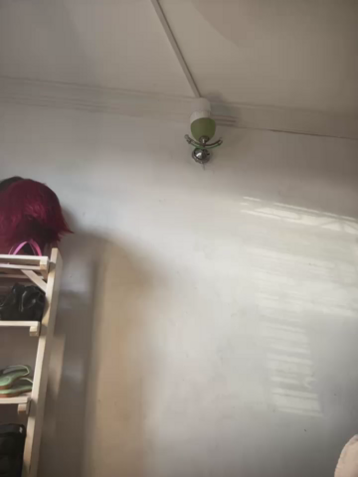 t-Booty_risky_