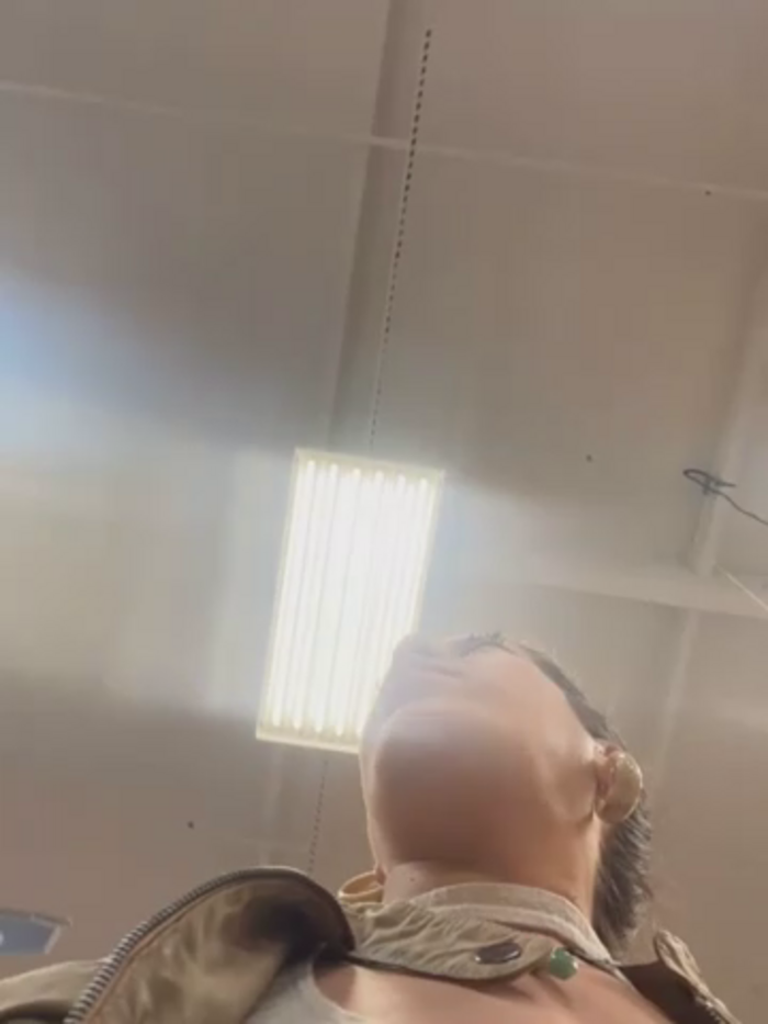 Bigbuttbrooklynn