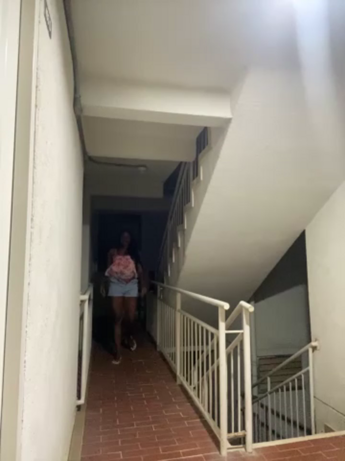 EscorpiLeoncita