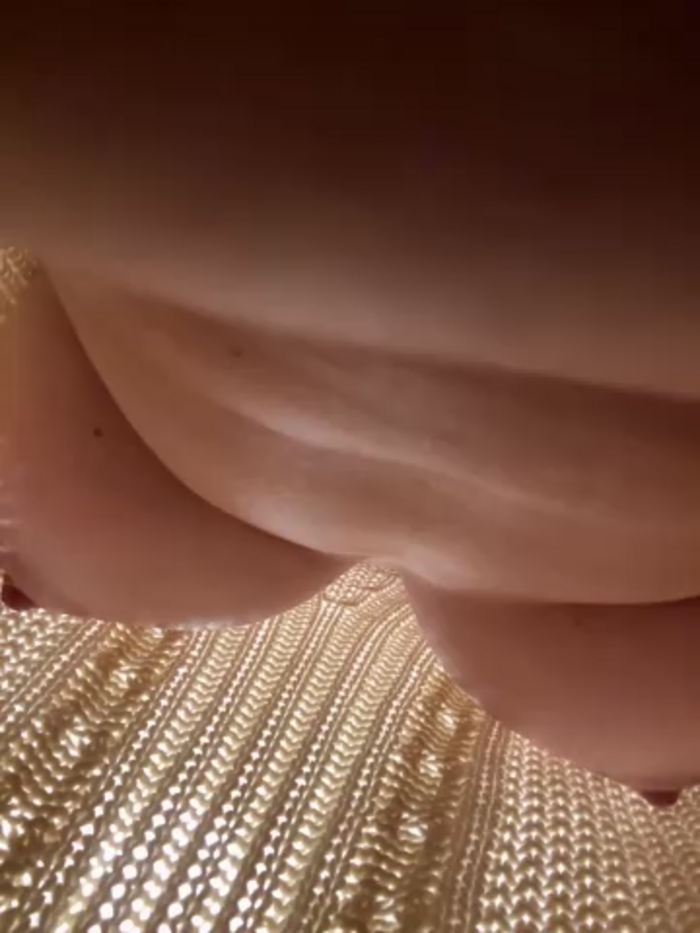 eveangelll