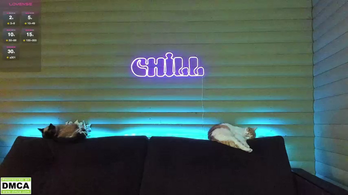 meowluv66