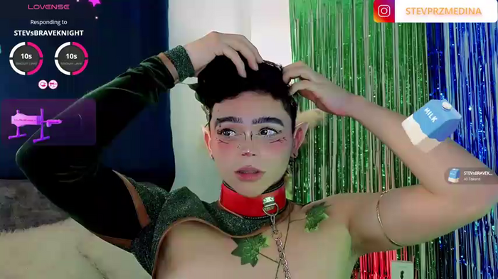 PRINCE_STEV